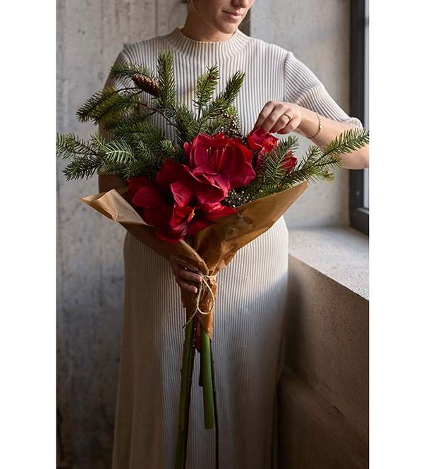 Hovedbilde Mr Plant Amaryllis Rød 60 cm