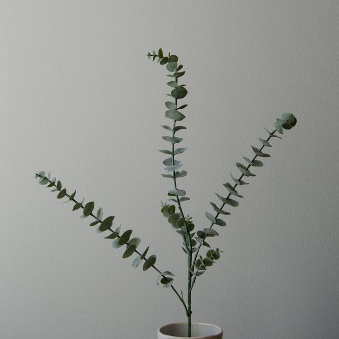 Hovedbilde Botané Studios Green Eucalyptus Five Leaves
