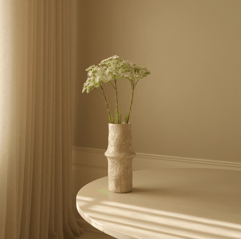Botané Studios Queen Anne's Lace White