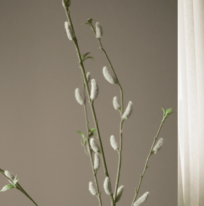 Hovedbilde Botané Studios Brown Willow Bud Branch