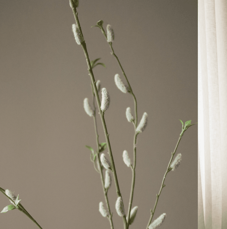 Botané Studios Brown Willow Bud Branch