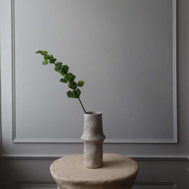 Hovedbilde Botané Studios Bells of Ireland 