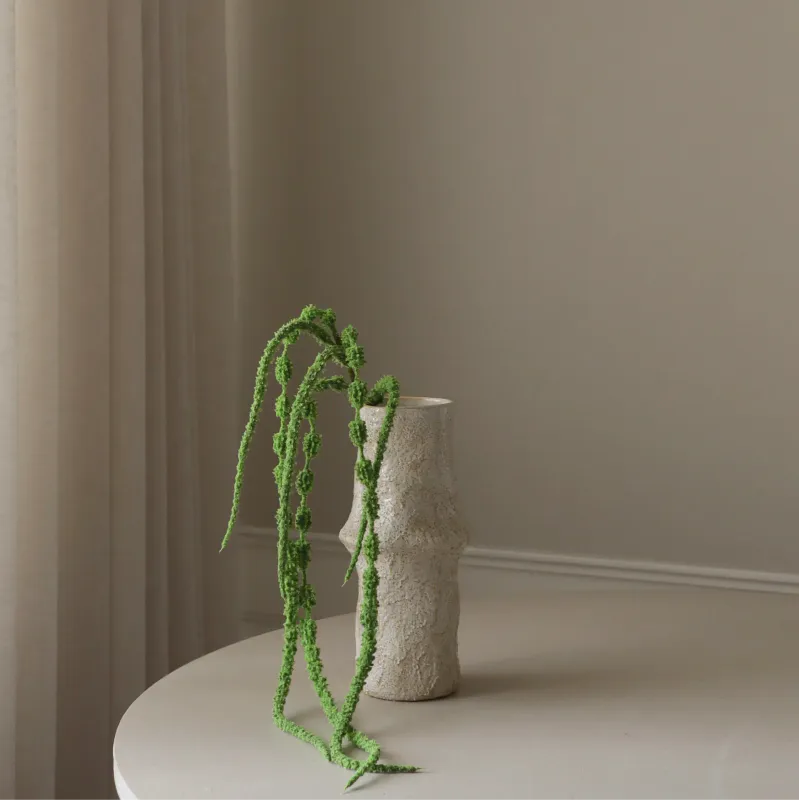 Botané Studios Light green Amaranthus Caudatus Six Forks
