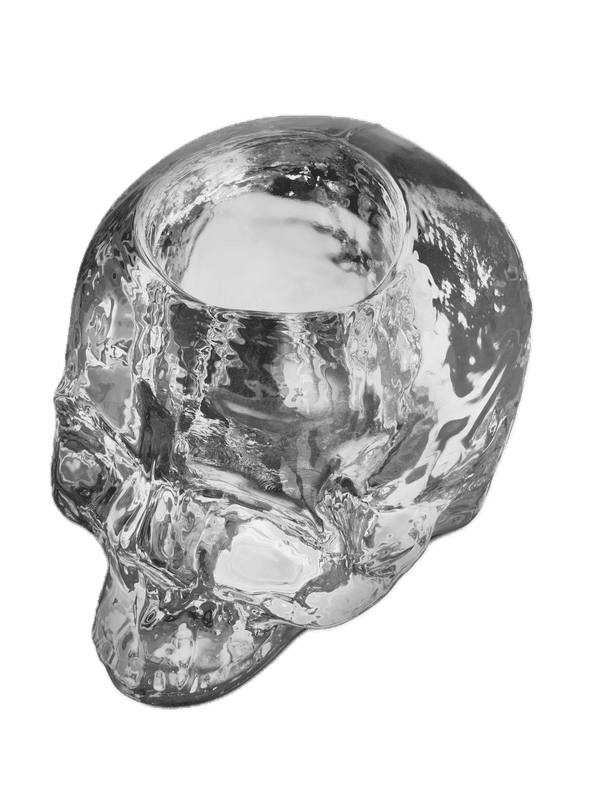 Kosta Boda Still life skull lysestake 8,5 cm