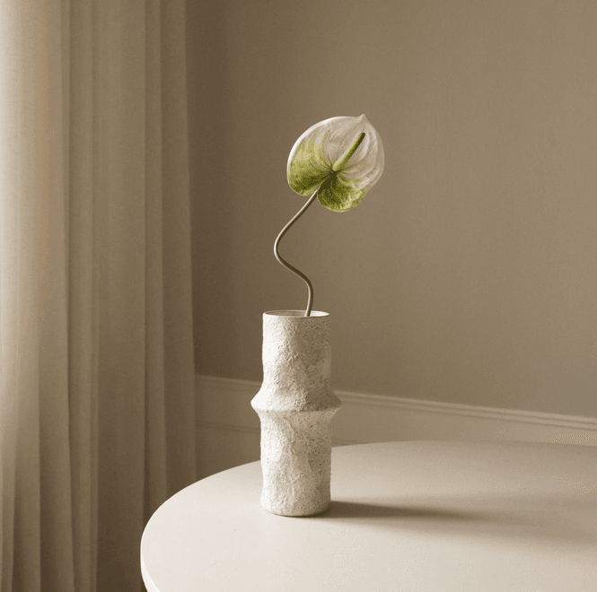 Hovedbilde Botané Studios Anthurium White