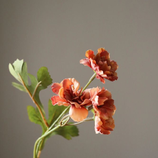 Hovedbilde Botané Studios Orange Zinnia Flowers