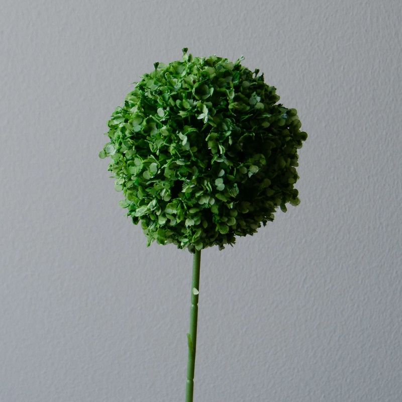 Botané Studios Allium grønn stor 