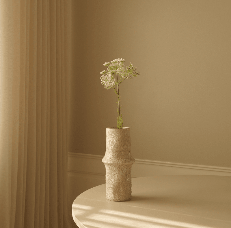 Botané Studios Queen Anne's Lace White