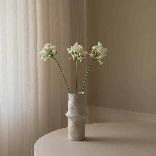 Hovedbilde Botané Studio Hvit Agapantus Blomst
