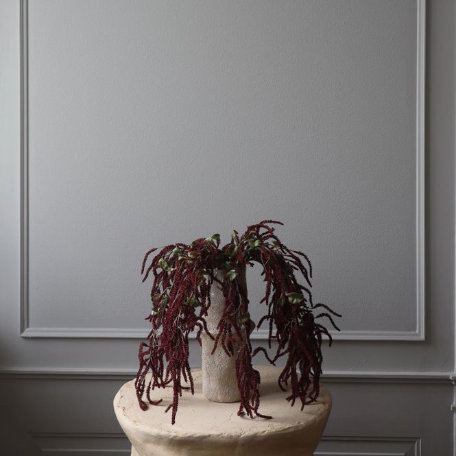 Hovedbilde Botané Studios Amaranthus Cruentus rød 