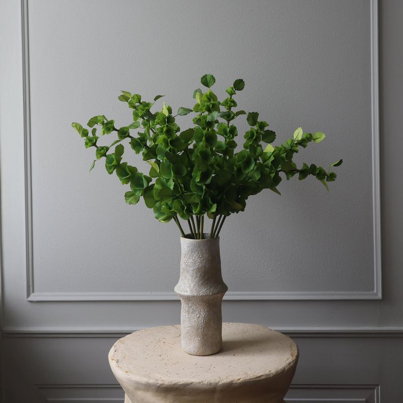 Botané Studios Bells of Ireland 